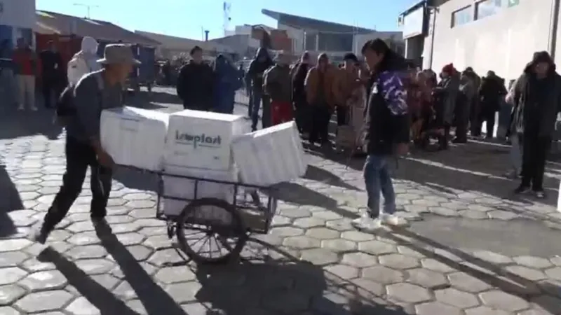 Gobierno de Bolivia habilita puente aéreo para hacer frente a desabastecimiento de alimentos