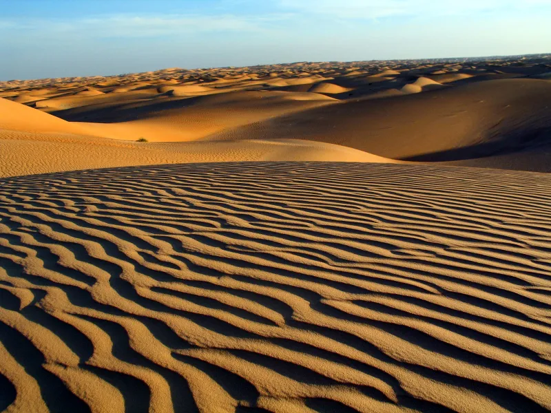 Medio centenar de personas mueren deshidratados en el desierto en Níger
