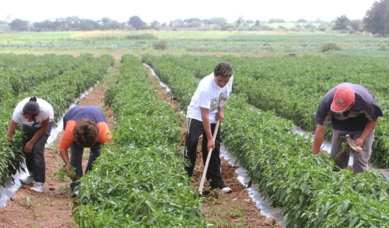 El Niño Costero seguiría hasta 2027: el próximo gobierno enfrentará un nuevo desafío para la economía peruana