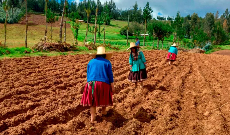 Gobierno aprueba endeudamiento externo por US$26 millones con el FIDA para financiar el proyecto Mercagro: ¿qué implica?