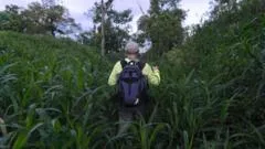 La verdadera historia detrás de la "ciudad perdida" de la Amazonía