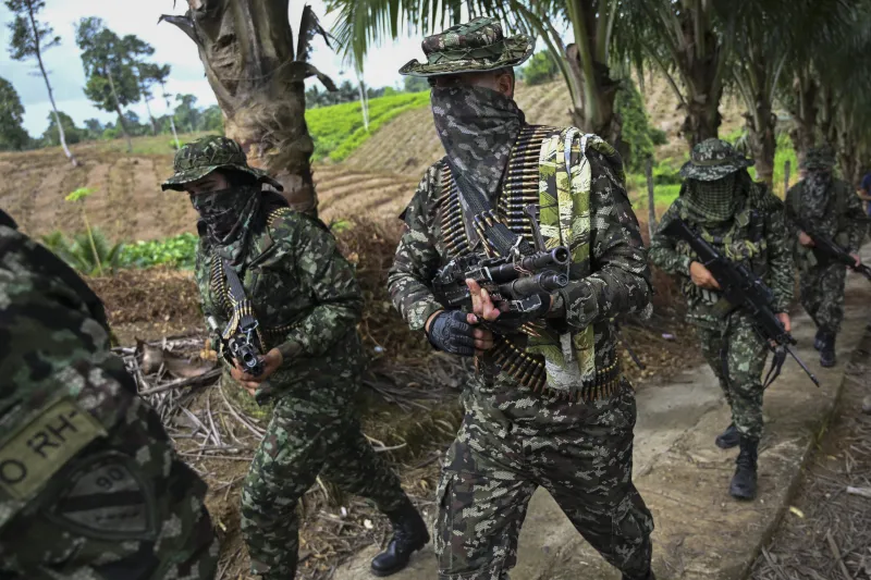 Las guerrillas de las FARC y el ELN obligan a votar por Iván Cepeda en las poblaciones que controlan: destierro, despido o muerte