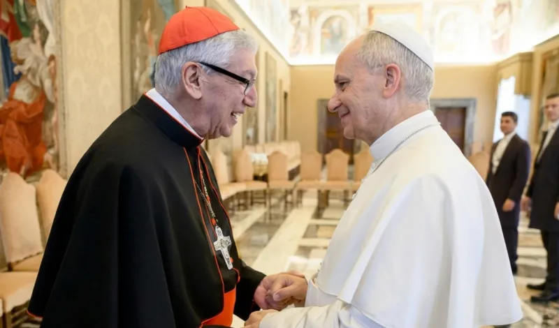 Cardenal Carlos Castillo pide no instrumentalizar visita del papa León XIV al Perú