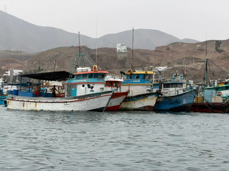 En Pucusana, pescadores artesanales acusan competencia desleal y depredación de flotas industriales