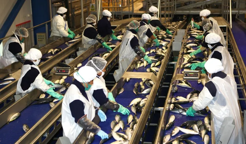 Fenómeno El Niño: manufactura perdería hasta S/350 millones diarios si se registra un evento fuerte