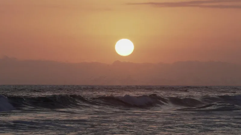 Récord climático: los océanos marcaron en junio su mayor temperatura de la historia