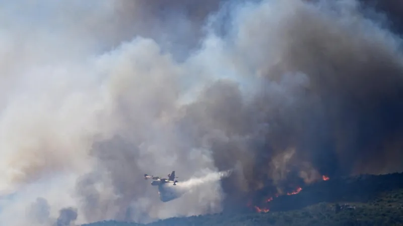 Más de 17.000 hectáreas quemadas por incendios forestales en el suroeste de Europa