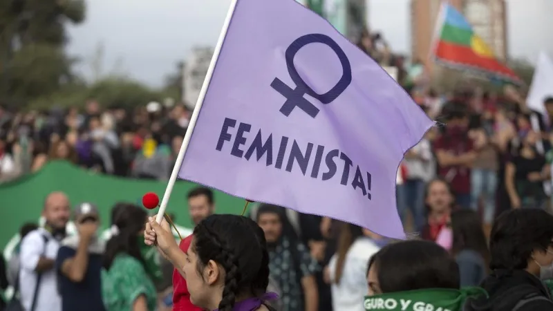 Feminismo para principiantes, por Julissa Mantilla