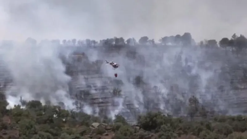 Europa arde: altas temperaturas intensifican los incendios forestales en Francia y España