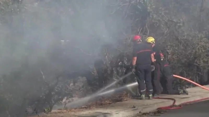 Crisis climática: incendios forestales en Europa y graves inundaciones en Asia