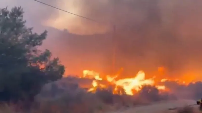 Incendios en España: al menos 12 muertos por fuego incontrolable en Almería
