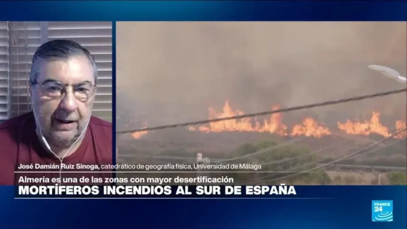 José Damián Ruiz: 'La sequía convirtió la vegetación de Almería en combustible para los incendios'