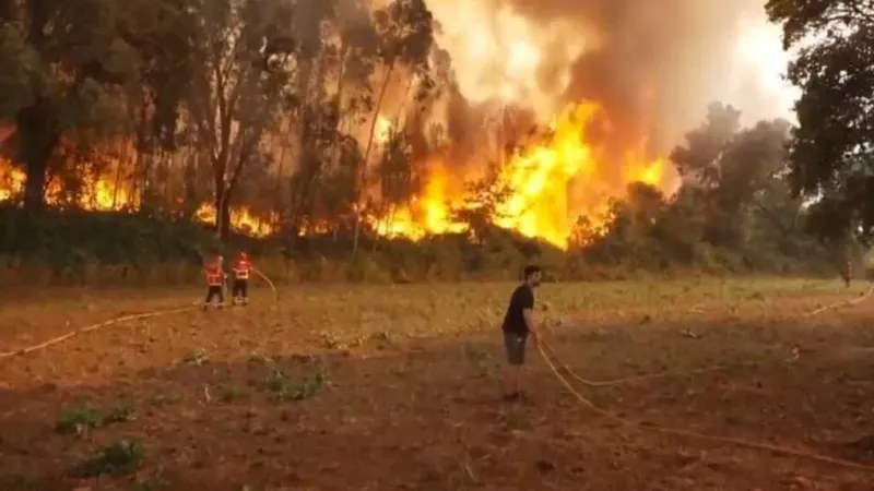 Incendios forestales azotan Francia y España por la ola de calor en Europa