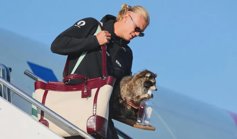 La insólita imagen de Erling Haaland tras el Mundial 2026: volvió a Noruega con un mapache disecado