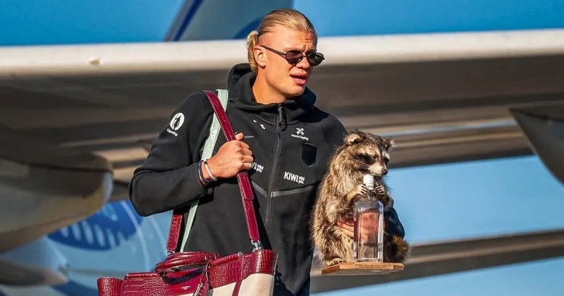 "Me siguió hasta casa": la particular "mascota" que viajó con Haaland desde los Estados Unidos a Noruega