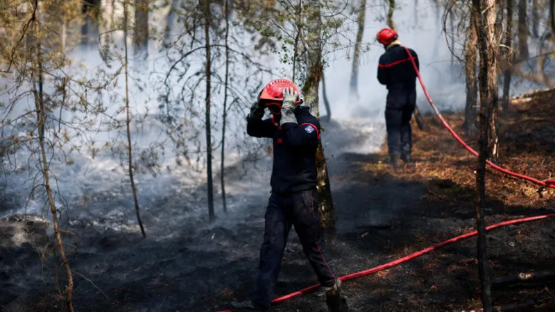Incendio en Fontainebleau: rebrotes del fuego complican la labor de los bomberos franceses; hay un nuevo detenido