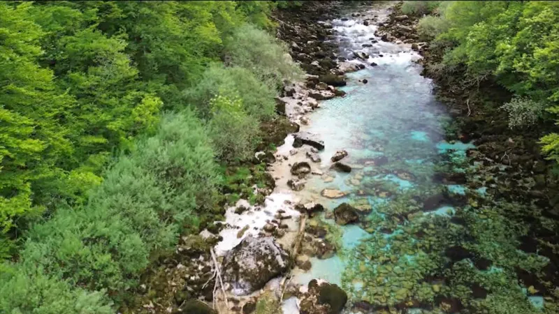 Bosnia: la lucha por proteger los últimos ríos salvajes de Europa