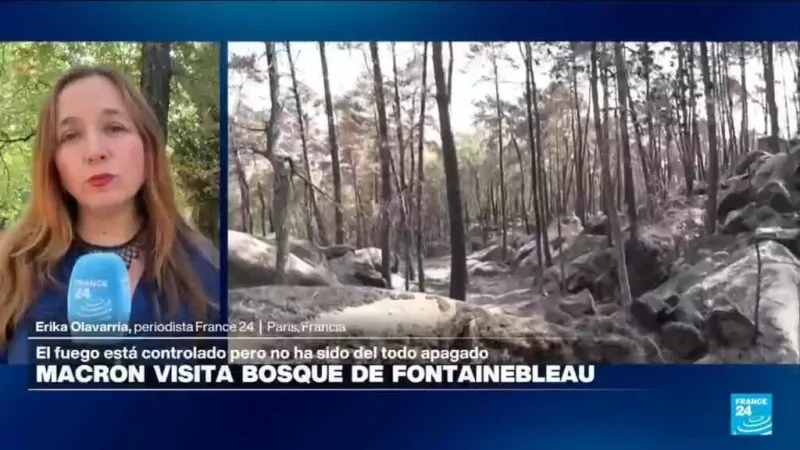 Informe desde París: incendio en Fontainebleau está controlado, pero no completamente apagado