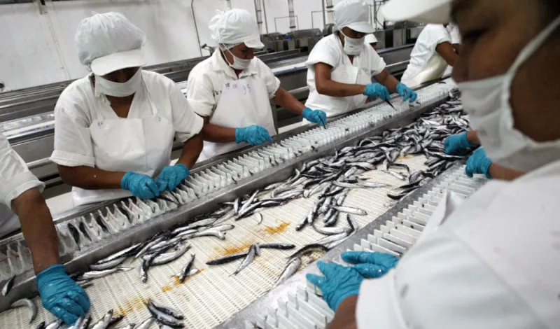 PBI peruano desacelera a 1,8% en mayo tras desplome de la pesca y caída de la manufactura