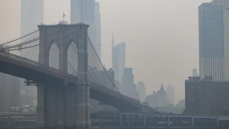 Trump advierte a Canadá con más arancel: ¿qué tienen que ver los incendios forestales?