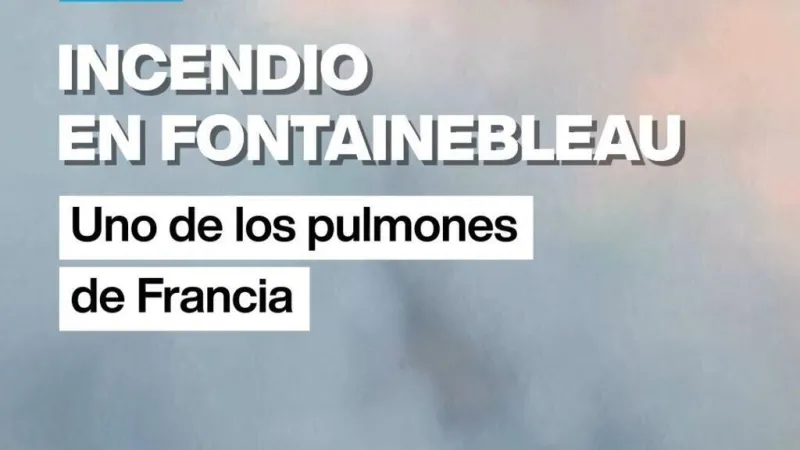 Incendio en Fontainebleau: uno de los pulmones de Francia