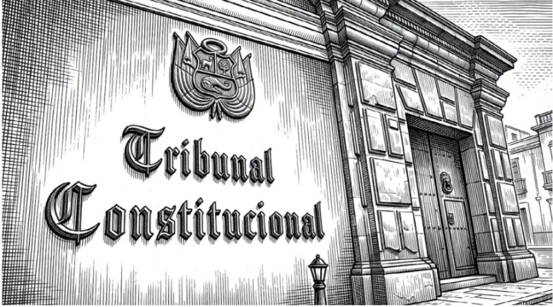 El legislador y los derechos sociales fundamentales