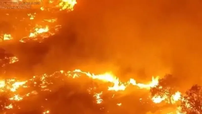 España y Francia enfrentan devastadores incendios en la intensa ola de calor que azota a Europa