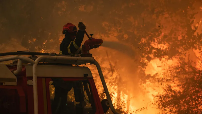 Incendios en aumento: ¿es el cerebro humano el responsable de la negación climática?