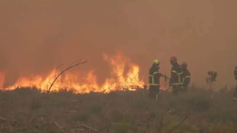 Francia y España permanecen sofocados por los incendios forestales difíciles de controlar