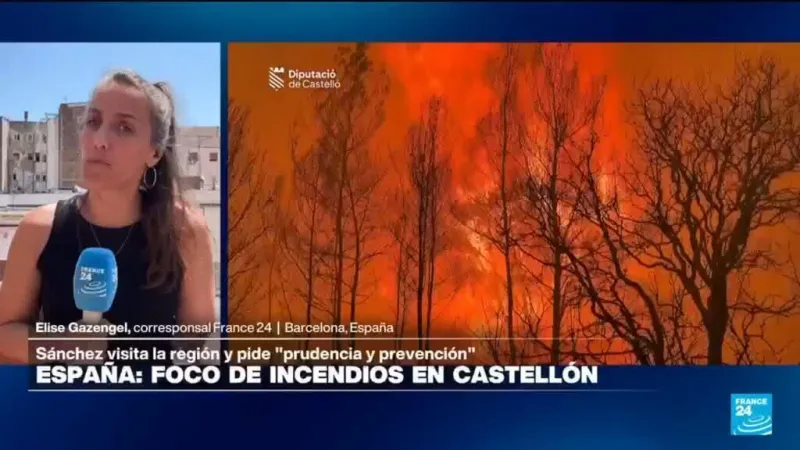 España: avanzan labores para extinguir incendios forestales que han quemado más de 50.000 hectáreas