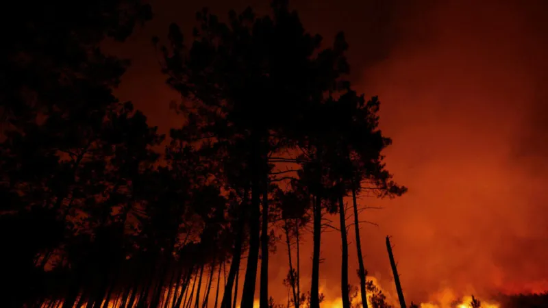 Europa en llamas: ¿por qué la crisis climática y la falta de prevención arrasan España y Francia?
