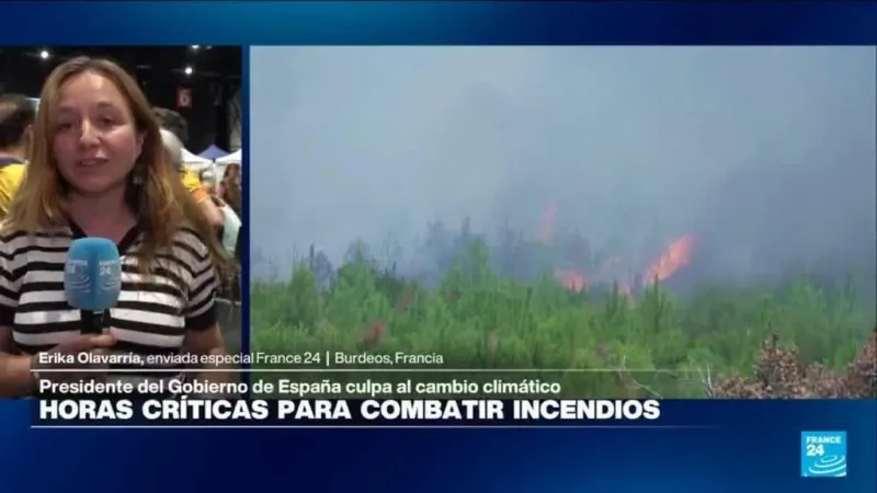 Incendios en Francia: algunos evacuados podrán volver a casa; fuego rebrota en otras zonas