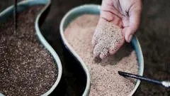 5 alimentos que ayudan a cuidar nuestros huesos (más allá de la leche)