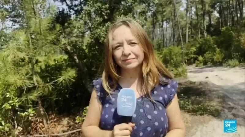 Francia arde: 14 rebrotes de incendios en Gironda en plena ola de calor