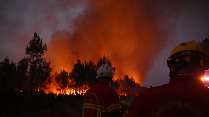 Arden los bosques en Europa: “Quienes niegan el calentamiento global deben abrir los ojos”