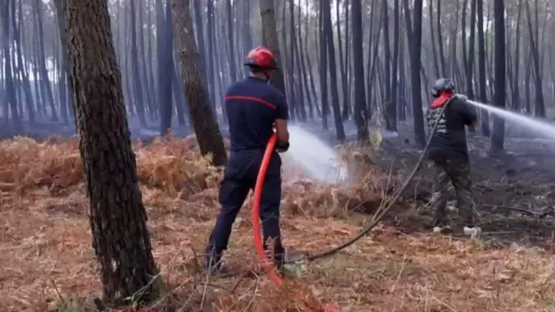 España y Francia anuncian avances en lucha contra incendios forestales; Grecia enfrenta nuevos focos