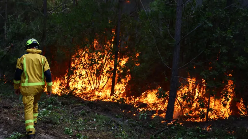 Incendios en Europa: tras la crisis en Francia y España, el fuego amenaza a Grecia, Portugal y Turquía