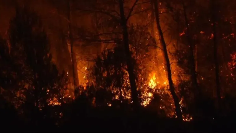 Los incendios forestales obligan a nuevas evacuaciones en Francia y Grecia