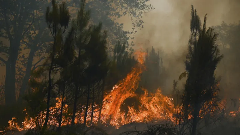 Europa calcula el costo de una temporada de incendios extremos
