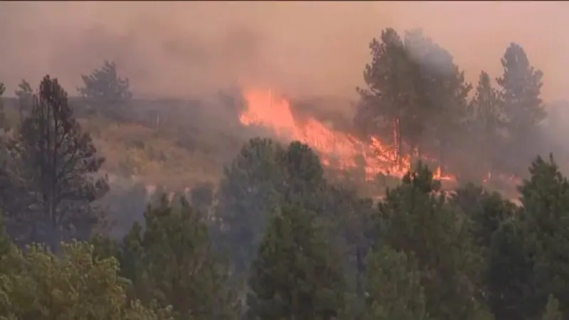 15 incendios azotan al estado de Washington y sobrepasan capacidades de las autoridades