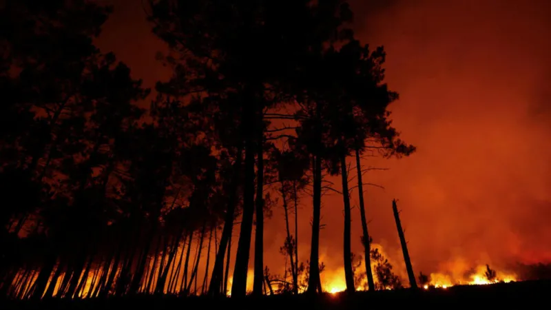 Macroincendios en Europa: las olas de calor agravan la crisis climática