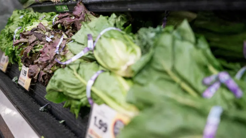 ¿Por qué una lechuga tiene en alerta a México y Estados Unidos?