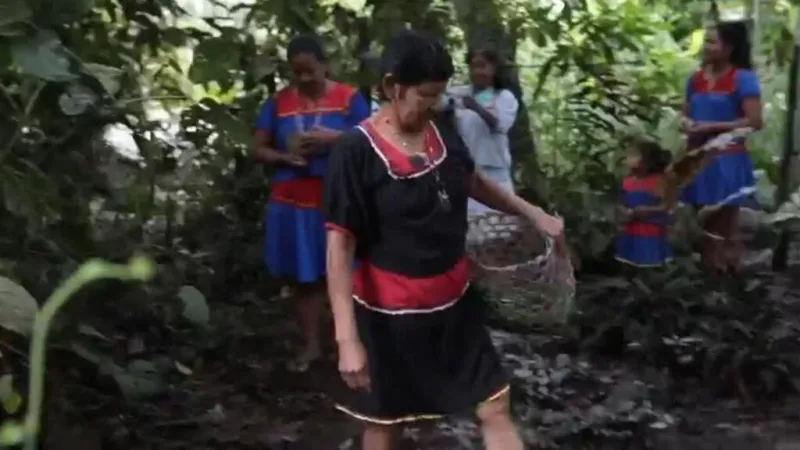Colombia: fumigación de cultivos genera incertidumbre entre pueblos indígenas del Putumayo
