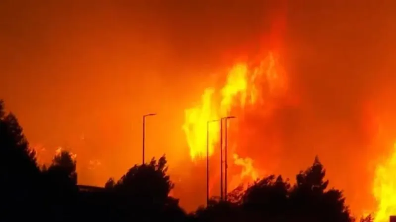 Incendios forestales arrasan Europa: evacuaciones en Croacia, Alemania, España y Francia