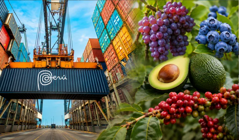 Exportaciones regionales del Perú crecen 37% y superan los US$46.000 millones