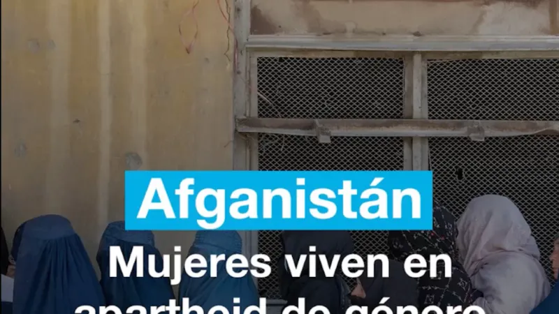 Mujeres viven en "apartheid de género" tras cinco años de la caída de Kabul