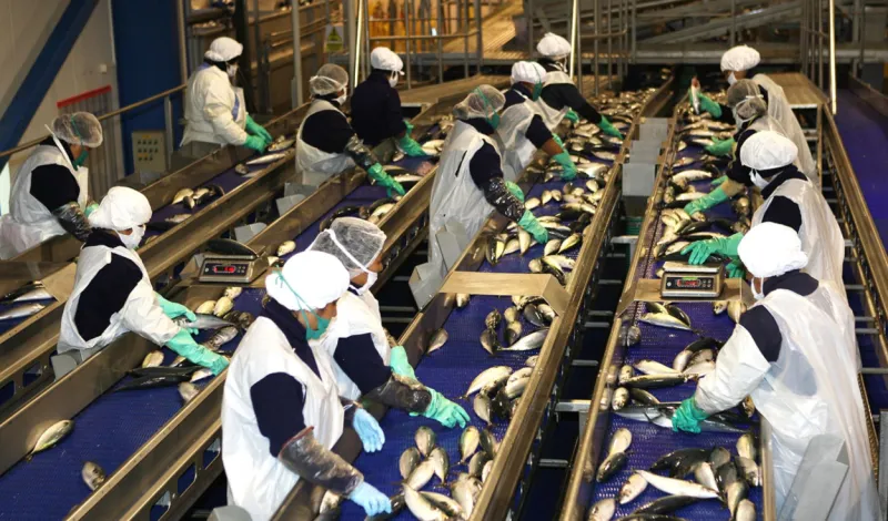 PBI creció 3,05% hasta junio, pero pesca y manufactura retrocedieron