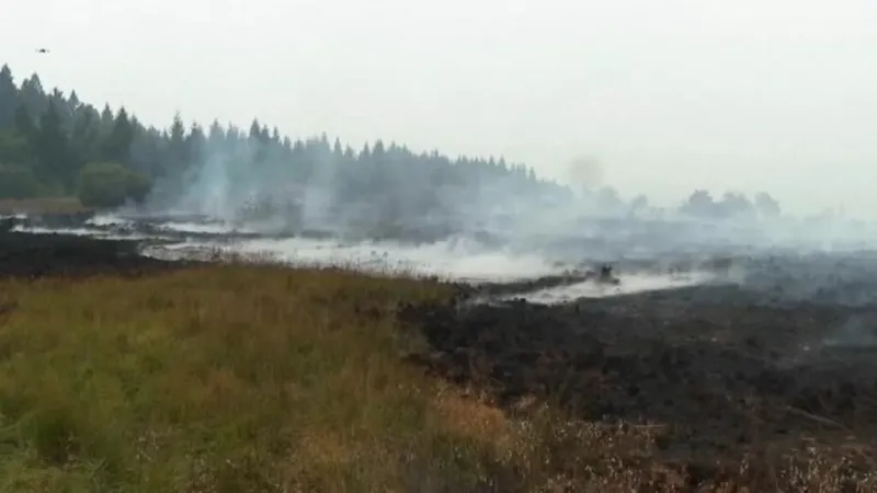Temporada de incendios sigue azotando a varios países de Europa