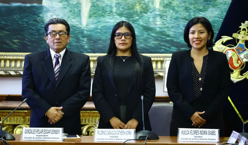 Catherin Palomino, diputada de Juntos por el Perú, asume la presidencia de la Comisión de Justicia