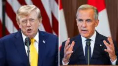 Cómo puede responder Canadá en una guerra económica para perjudicar a EE.UU. y Donald Trump